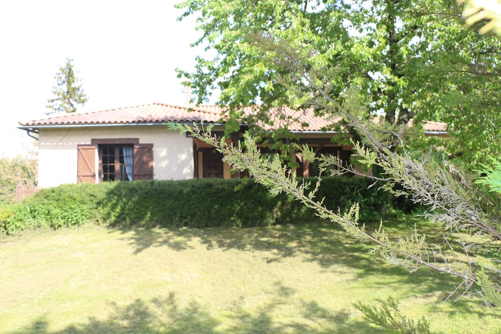 Front view