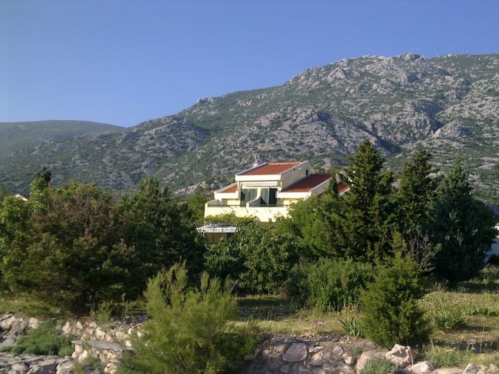 Apartment Matea; 20m From The Beach; Ap2 - Karlobag