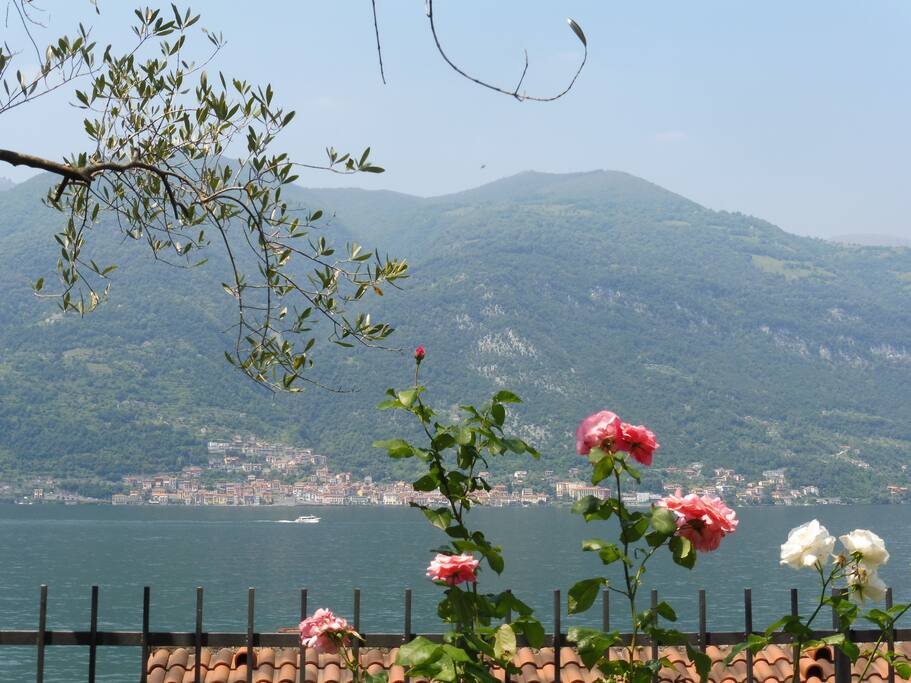 View of the lake from the garden