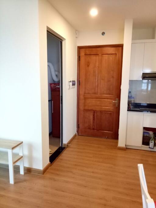 Access door