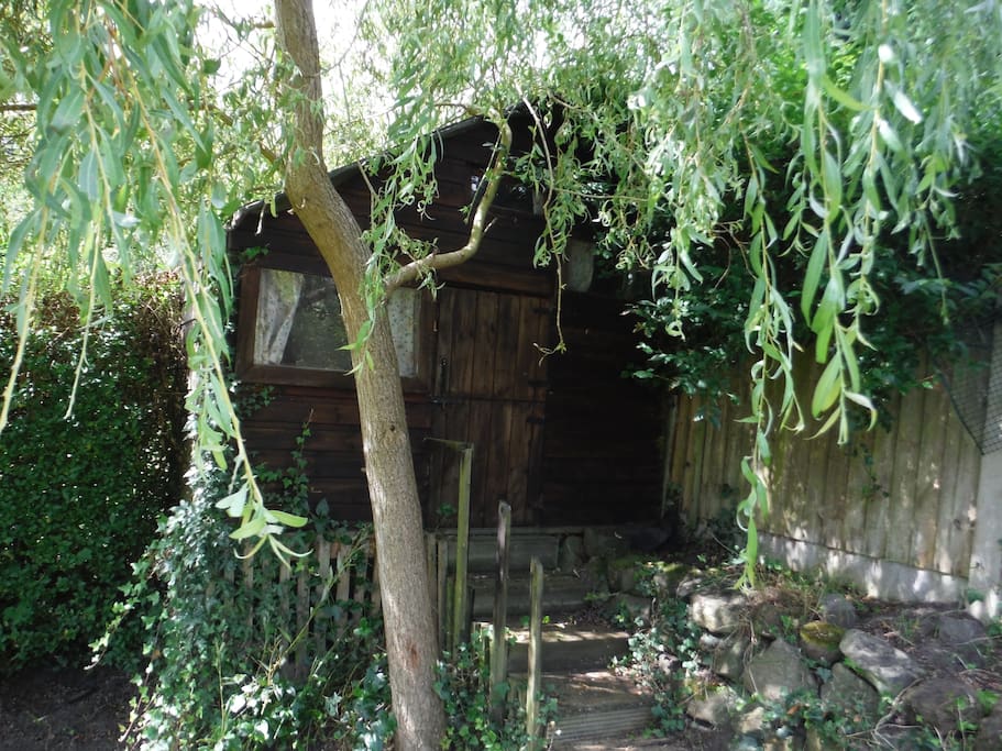 Tree House