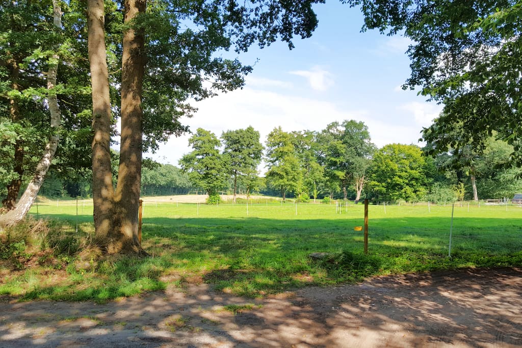 Ausssicht