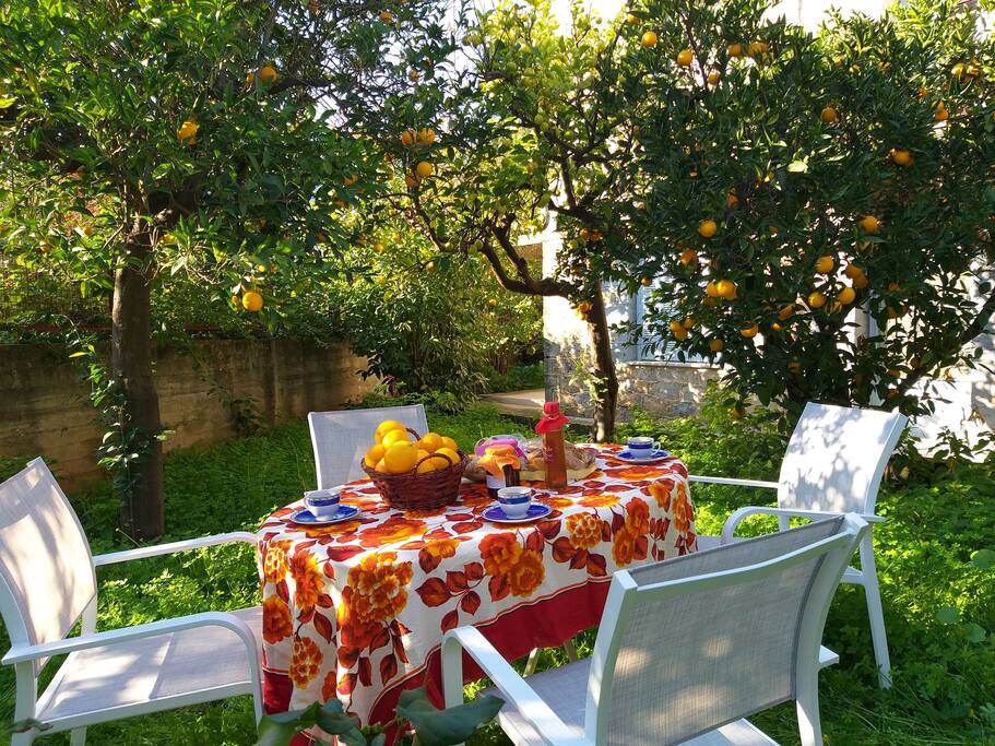 Garden