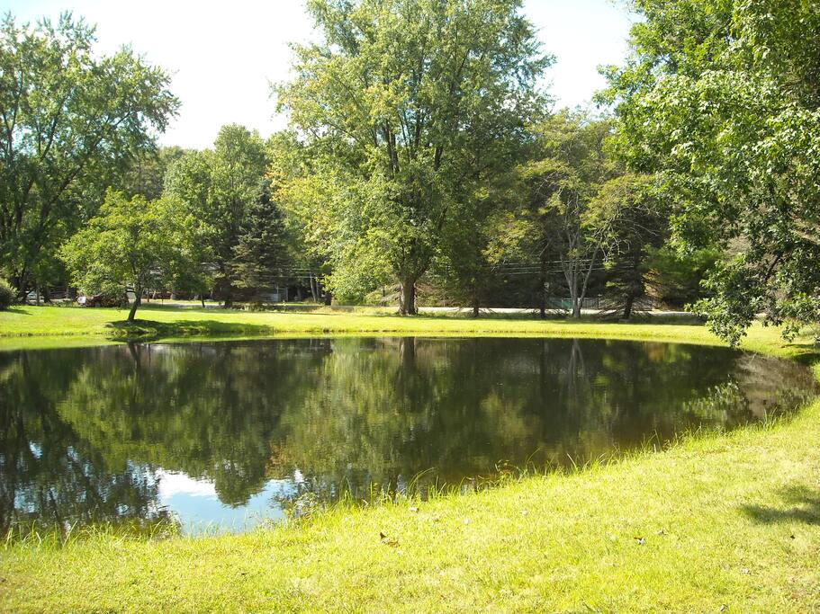 Pond facing road