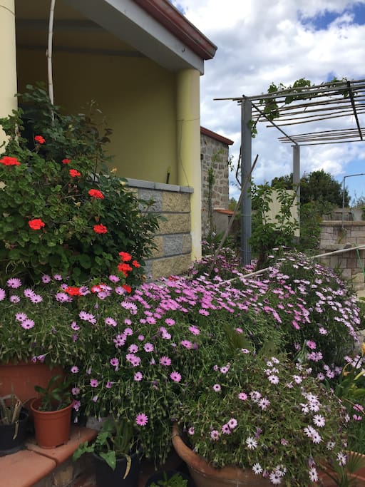 Veranda