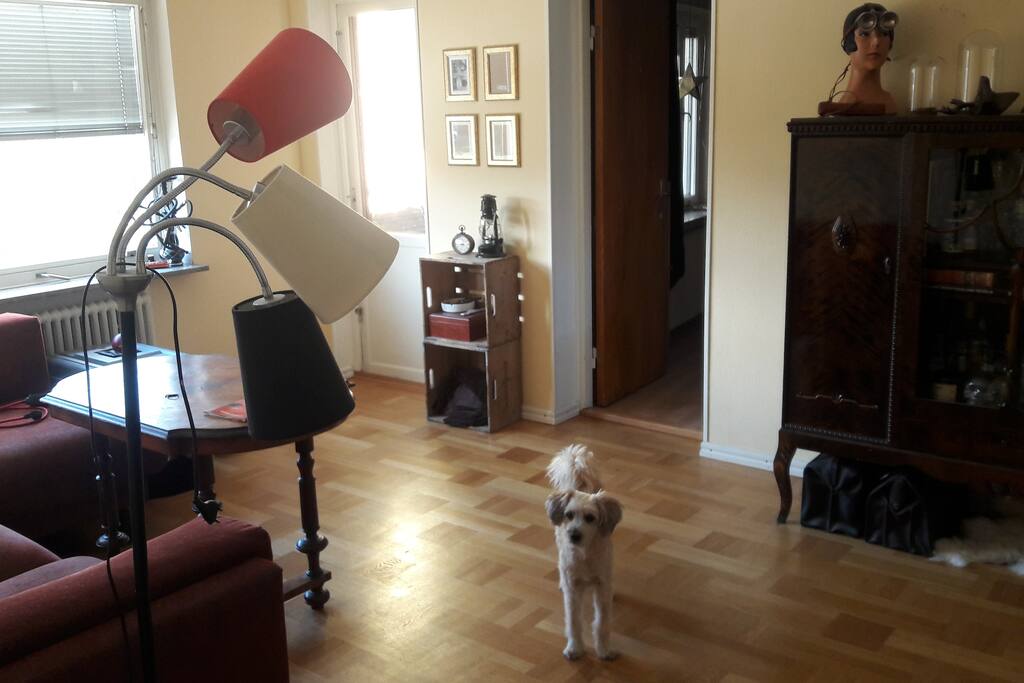Living room.
