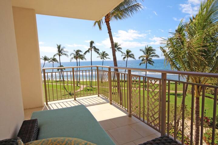 Hyatt Residence Club 3 BR Oceanfront Lower Villa gallery image 2