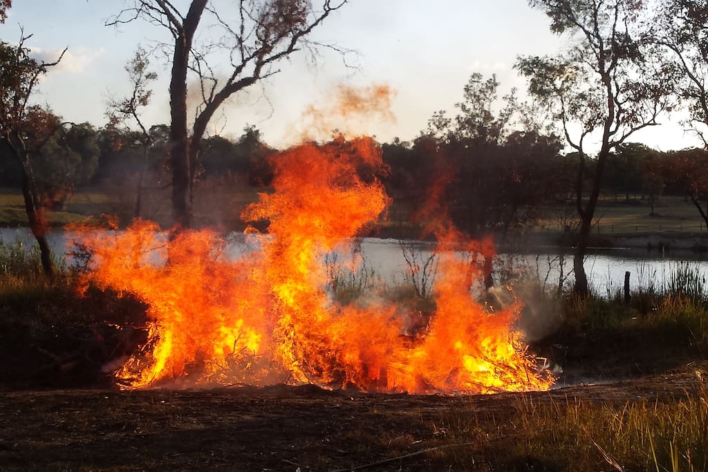 Burning off near the lake