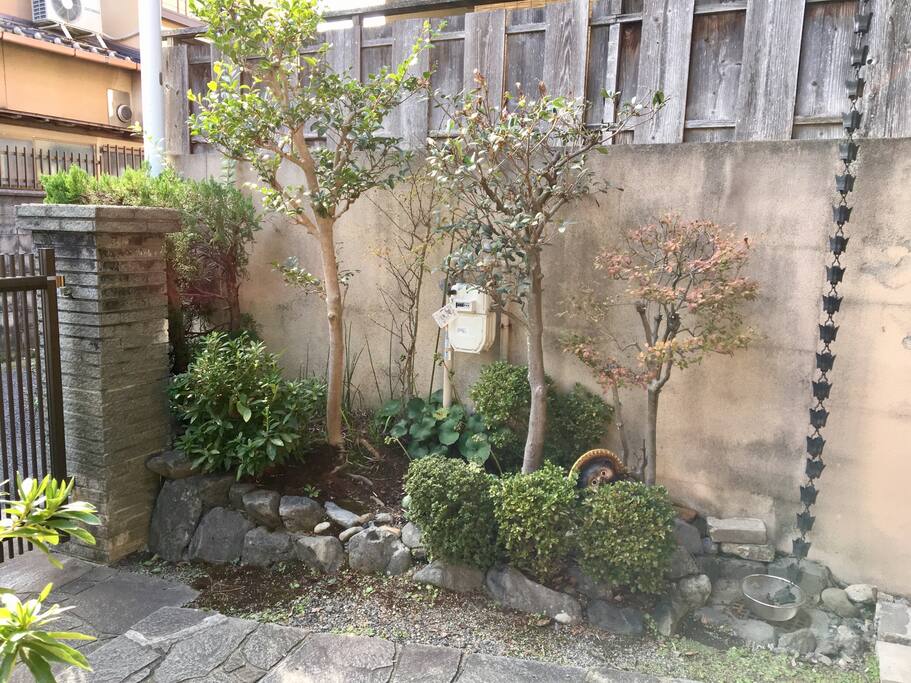 Japanese garden