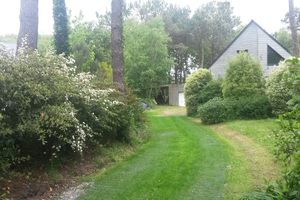allée enherbée d'entrée