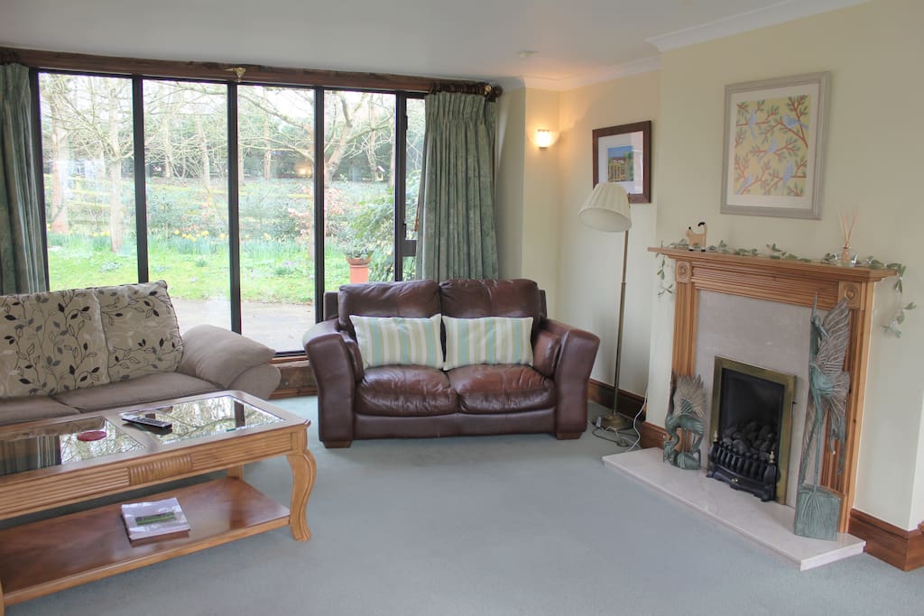 large, comfortable lounge with sofa bed on the left