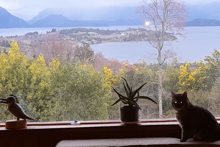 Vista Al Lago, Ecoturismo Los Chilcos Futrono - Futrono