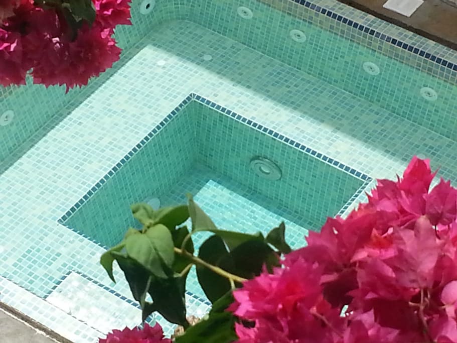 Plunge pool in the garden, ocean views.