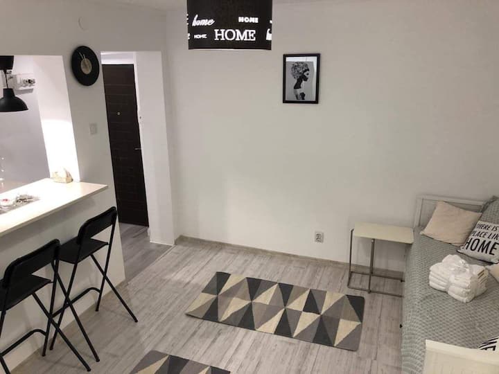 Home Central Cosy Living Studio in Iasi Apartments for Rent