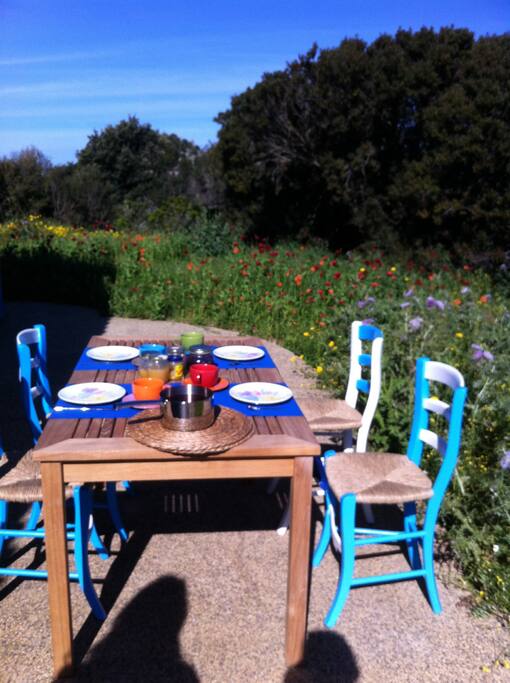 the garden
