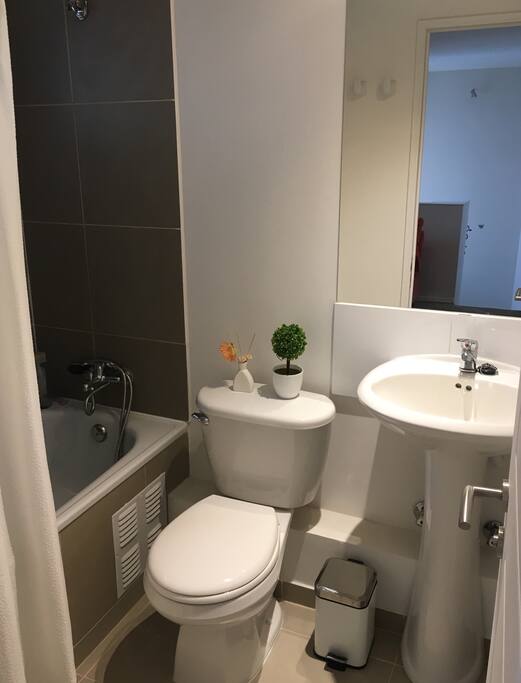 Baño privado, con toallas de mano y ducha disponible, papel higiénico, jabón, shampoo y acondicionador.