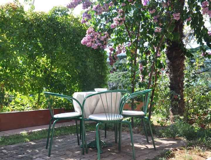 Studio Apartment 300m From The Beach, Pet Friendly - Rabac