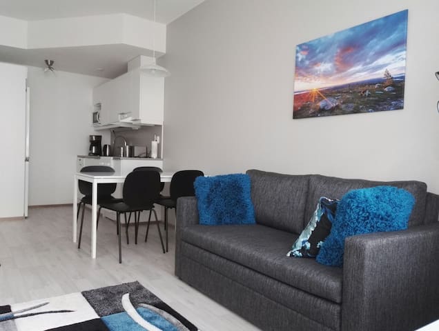 Cosy brand-new apartment in the city center