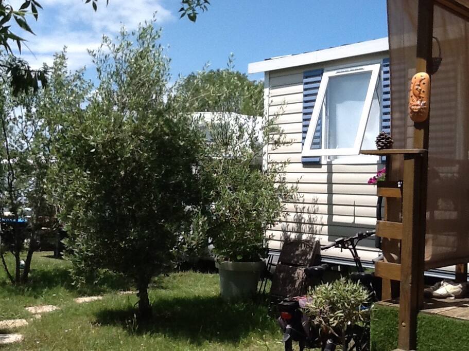 Parcelle arborée n*136