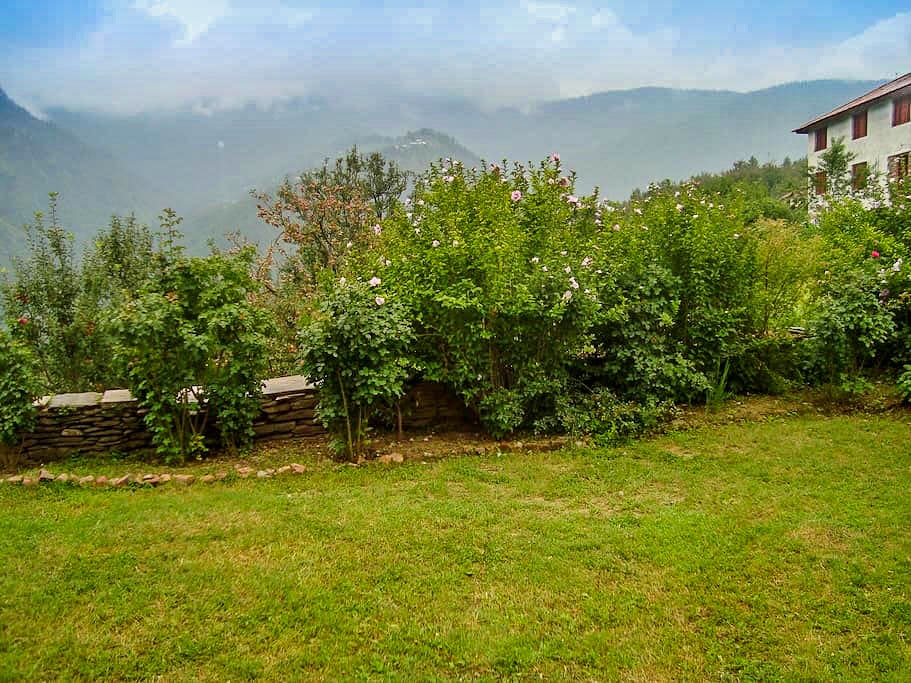 Private Lawn