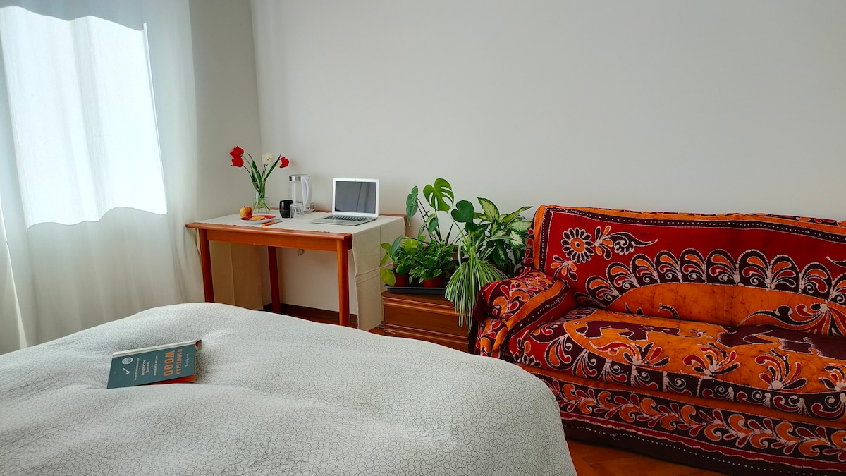 A spacious room is furnished with a large bed and a vibrant, patterned sofa. A desk with a laptop sits nearby, surrounded by green plants. Natural light filters in through a sheer curtain, creating a bright and inviting atmosphere.