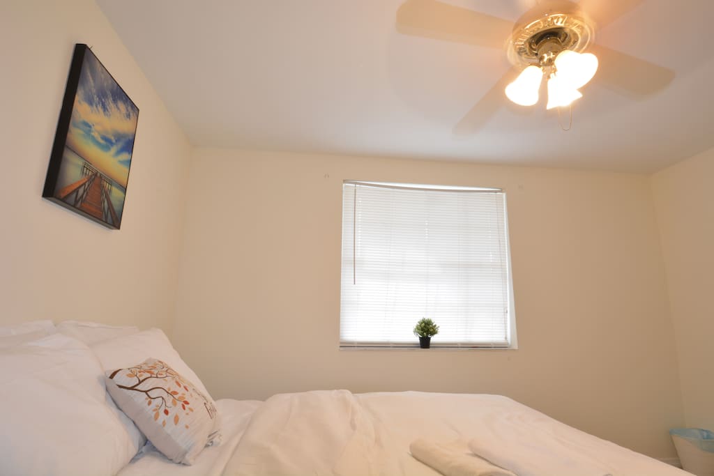 Bedroom #3 - Well sun-lit room!