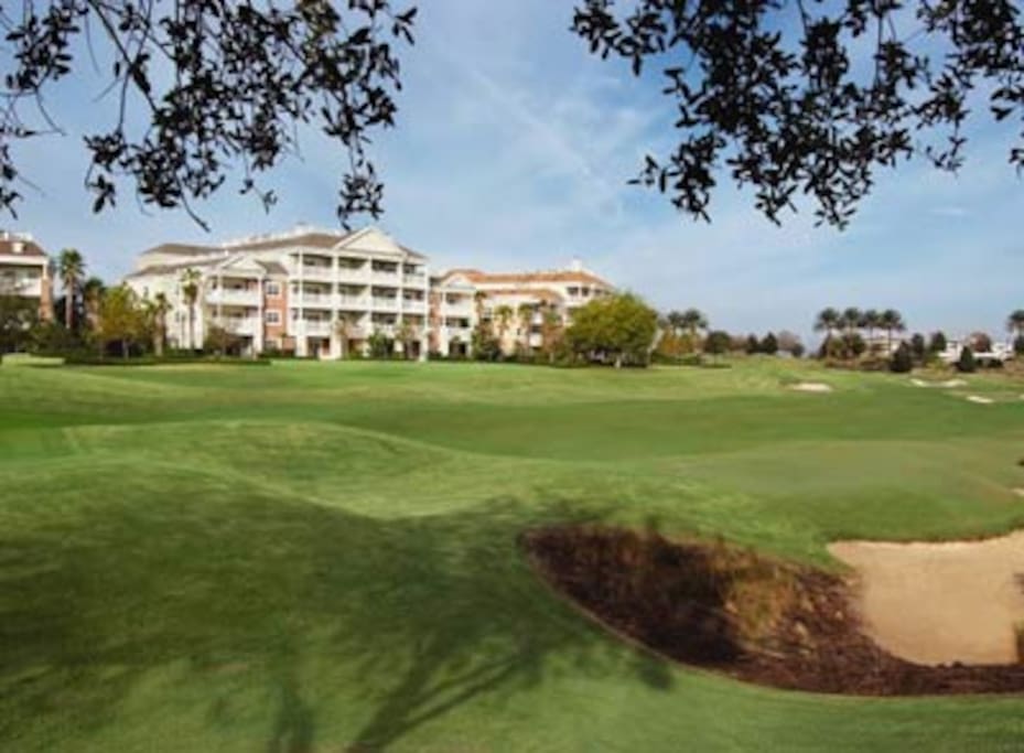 Grounds