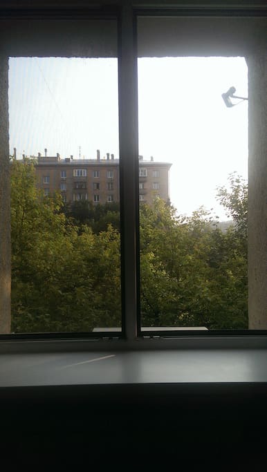View from Bedroom in late afternoon