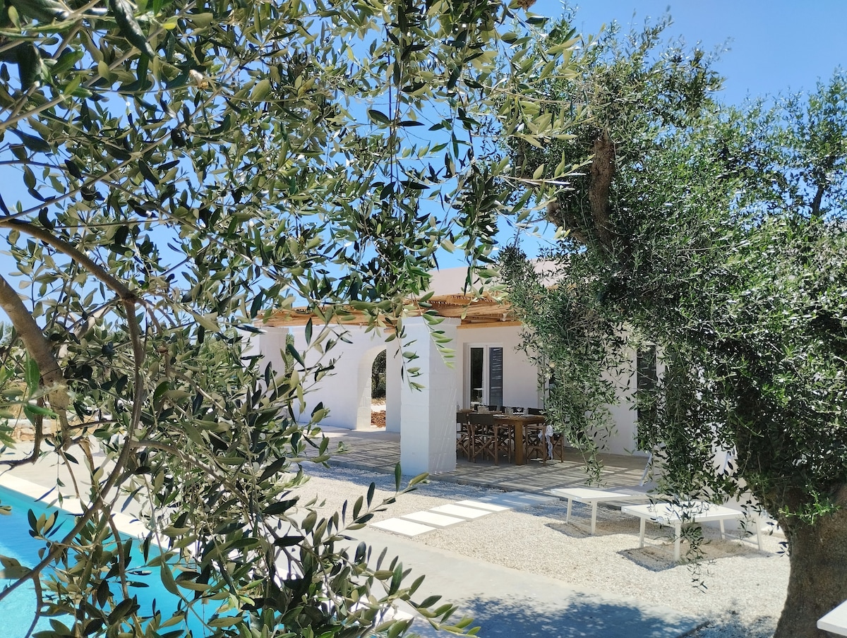 The villa's exterior is framed by lush olive trees, offering partial views of the white structure. A spacious terrace is visible, featuring a dining table. The inviting blue of the pool contrasts with the natural greenery surrounding the property.