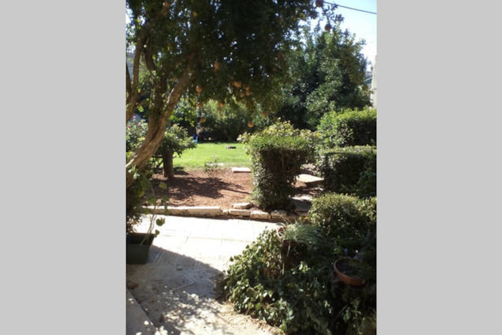 front yard