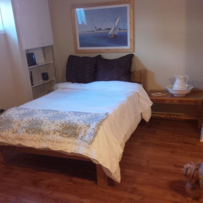 large bedroom with Yorkie