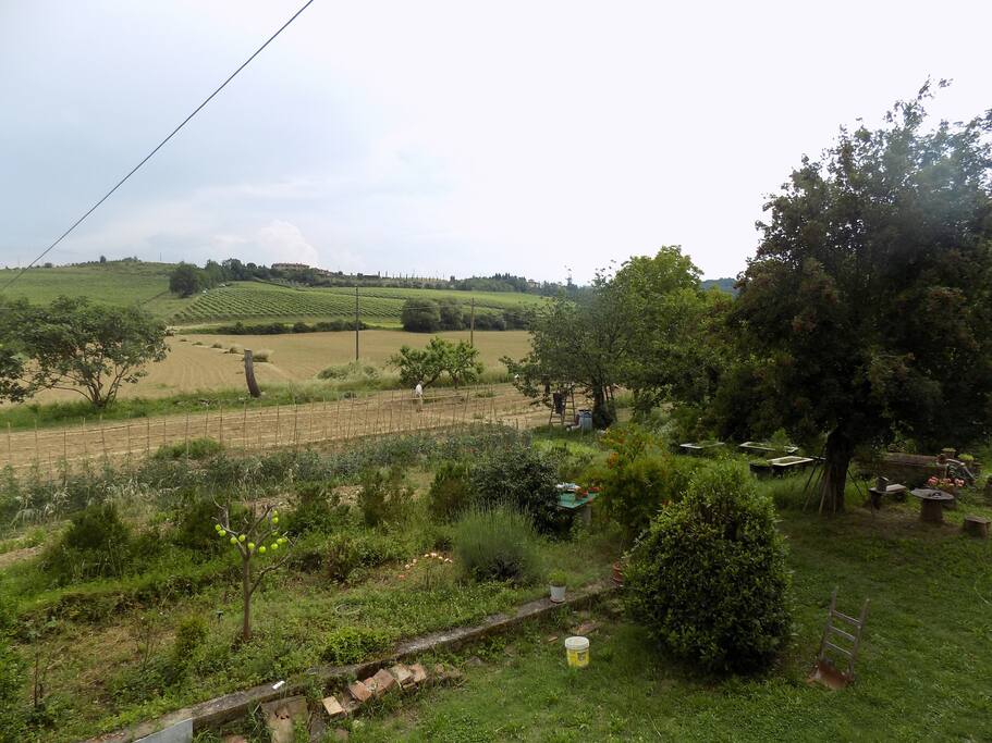 Giardino davanti casa visto dalla finestra