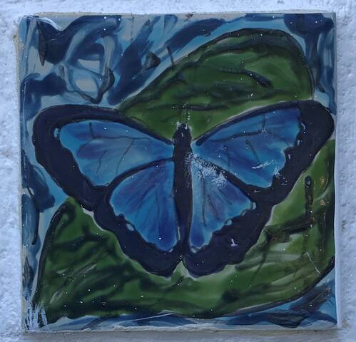 LOTUS Studio 3 Mariposa - No Hidden Fees!