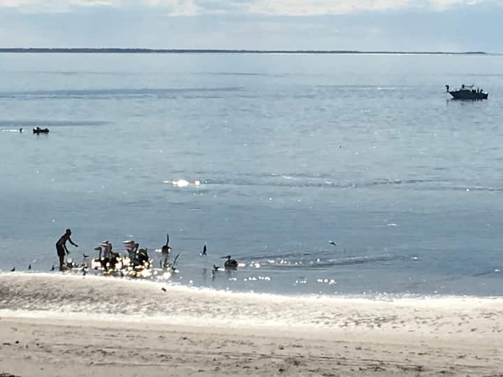 Top 10 Pet & DogFriendly In Yorke Peninsula, Australia