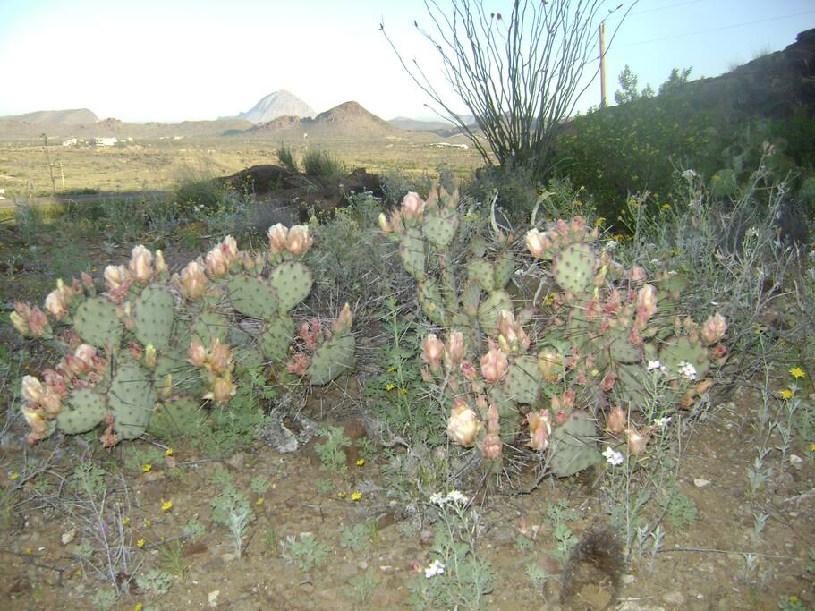 There is a trail on the property for hiking. Great views.