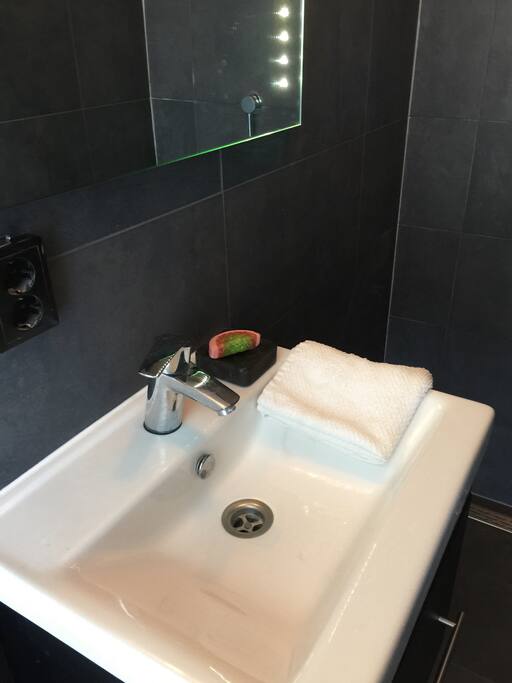 Private luxury bathroom with walk-in rain shower ...