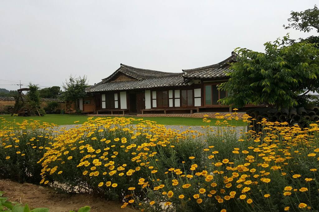 케모마일꽃 필 무렵