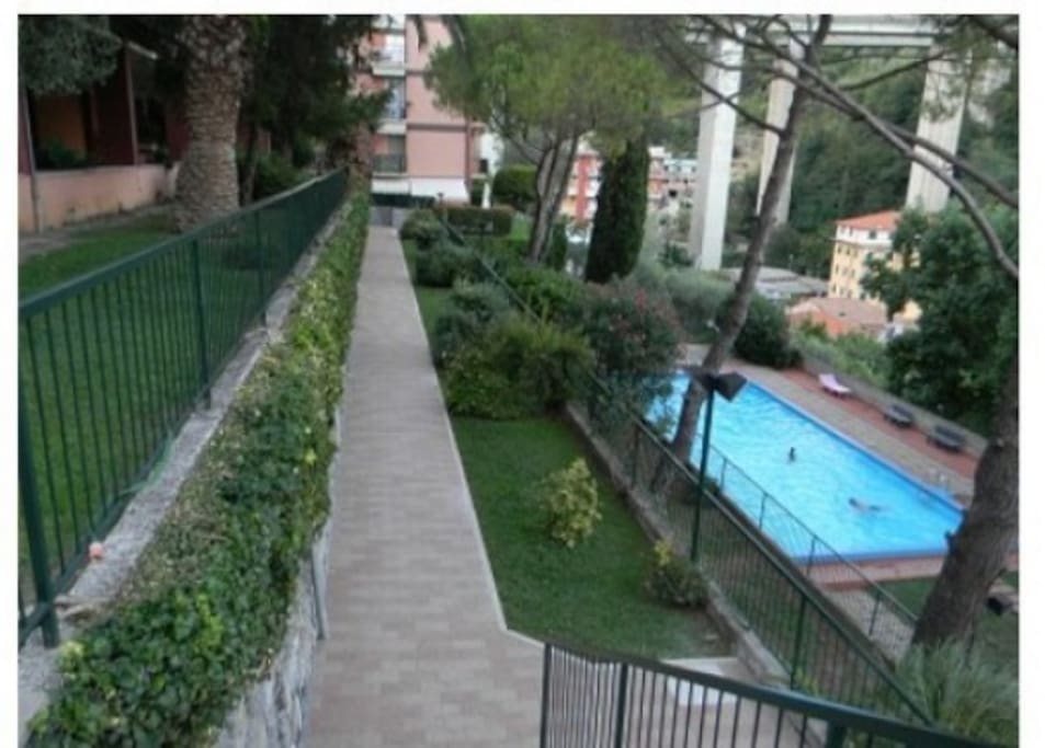 piscina residence