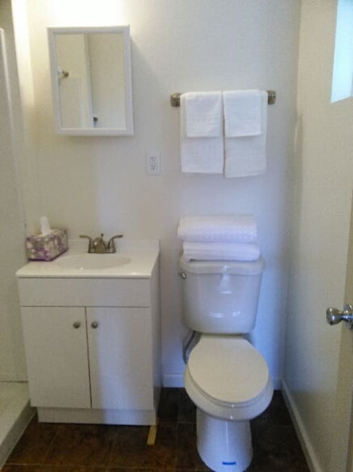 Private full bathroom with toilet, sink, walk in shower. Clean towels provided.