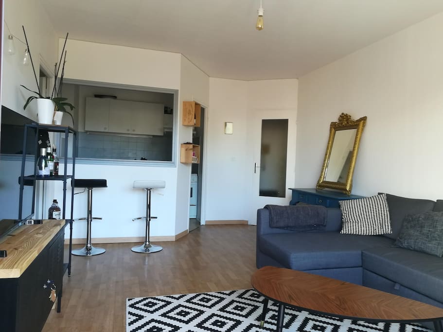 Salon - Living Room