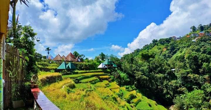 The image captures lush green terraces nestled in a mountainous landscape under a bright blue sky. Traditional structures with triangular roofs are seen among the greenery, complemented by scattered trees and vibrant grasses.