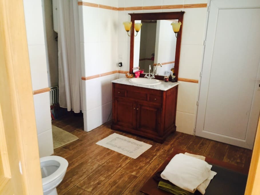 Salle de bains avec douche et toilettes