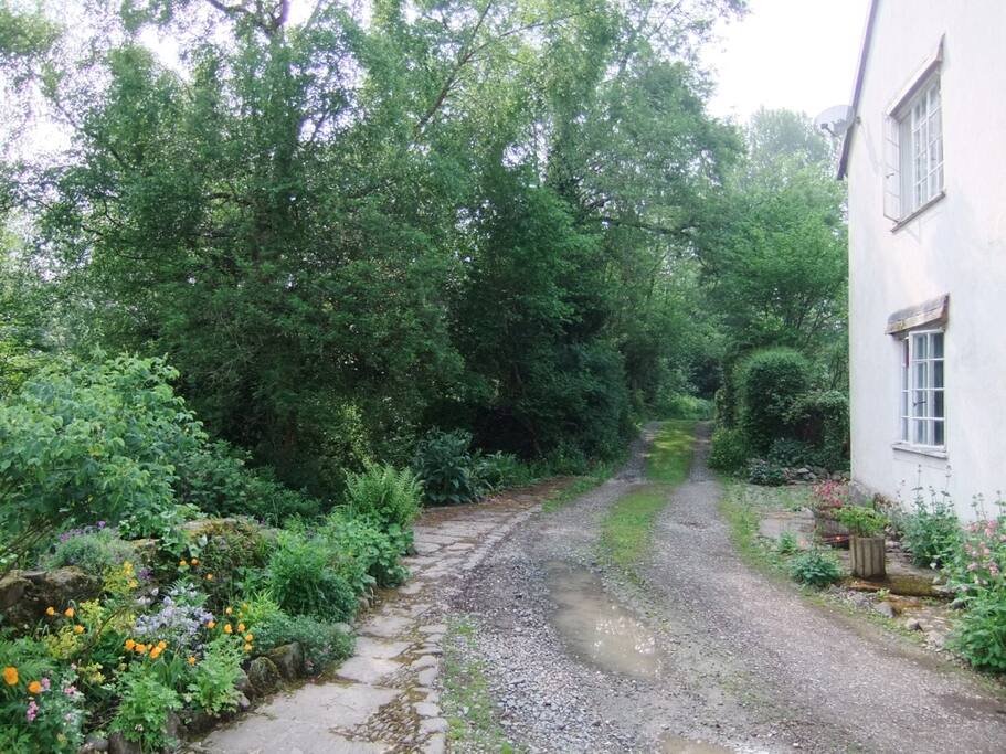 Lane to cottage