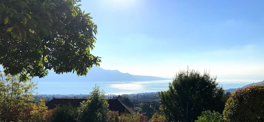 Montreux/Blonay/St Legier Amazing Views gallery image 2