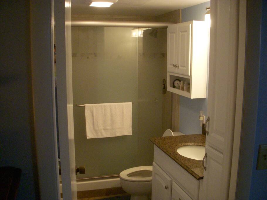 Newly remodeled bath
