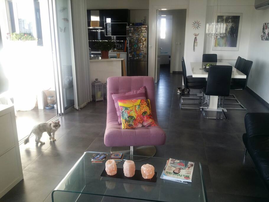 The living room/Dining area