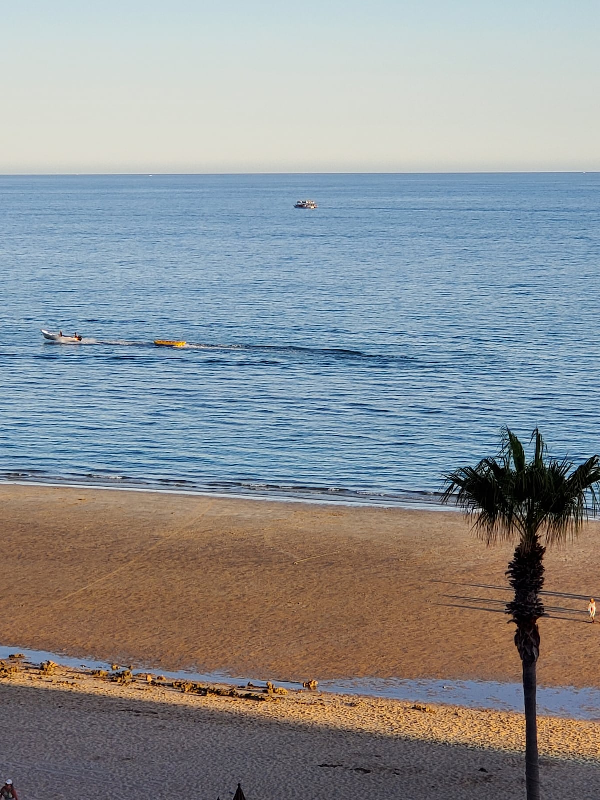 A serene ocean view features gentle waves lapping the sandy beach, with a small boat gliding over the calm water. A palm tree is visible in the foreground, adding a touch of greenery to the tranquil scene.