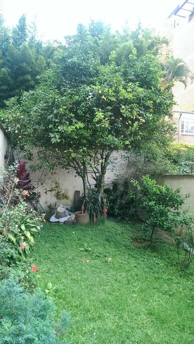 PATIO TRASERO