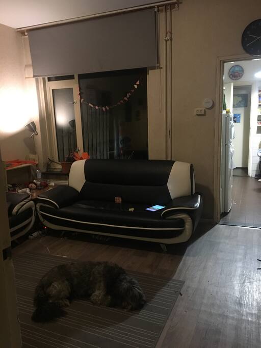 Living room.