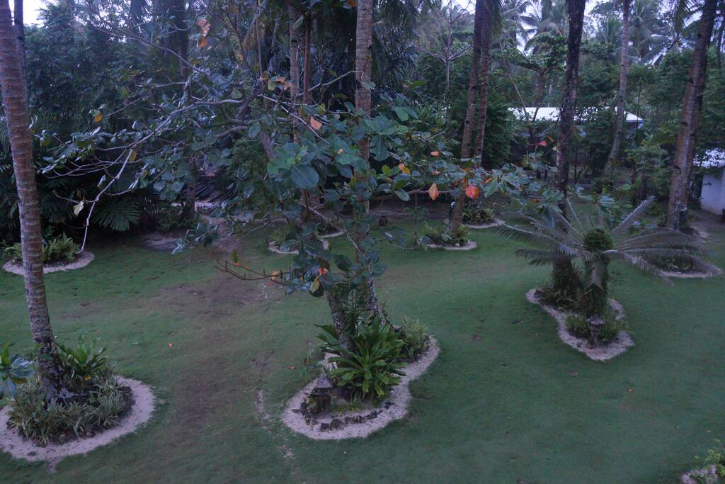 garden view